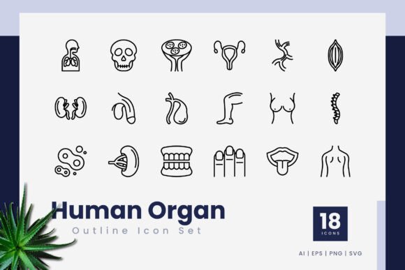 Human Organ Outline Icons Graphics